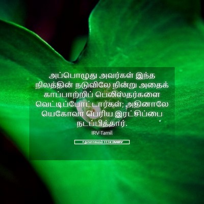 Picture 05 - 1 நாளாகமம் 11:14 TAMIRV - அப்பொழுது அவர்கள் - Bible Verse Picture