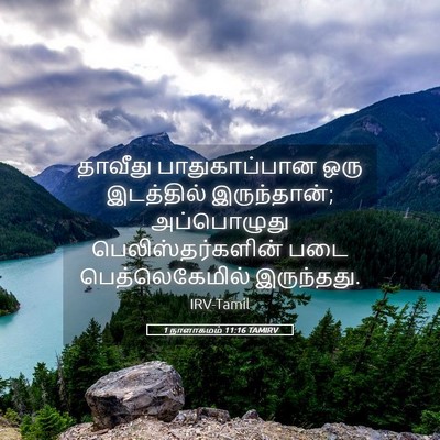 Picture 05 - 1 நாளாகமம் 11:16 TAMIRV - தாவீது - Bible Verse Picture