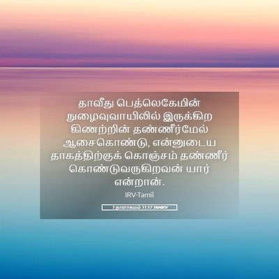 Picture 05 - 1 நாளாகமம் 11:17 TAMIRV - தாவீது - Bible Verse Picture