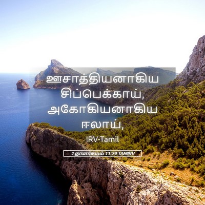 Picture 05 - 1 நாளாகமம் 11:29 TAMIRV - ஊசாத்தியனாகிய - Bible Verse Picture