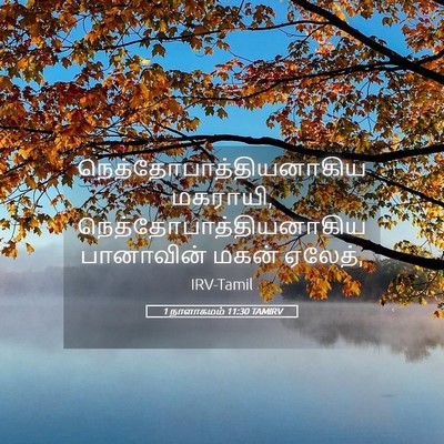 Picture 05 - 1 நாளாகமம் 11:30 TAMIRV -  - Bible Verse Picture