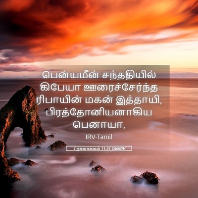Picture 05 - 1 நாளாகமம் 11:31 TAMIRV - பென்யமீன் - Bible Verse Picture