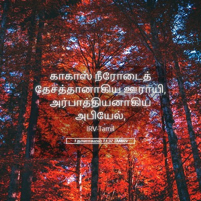 Picture 05 - 1 நாளாகமம் 11:32 TAMIRV - காகாஸ் நீரோடைத் - Bible Verse Picture