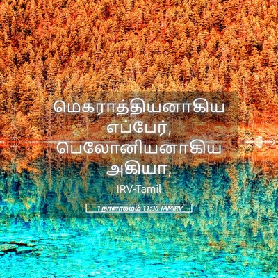 Picture 05 - 1 நாளாகமம் 11:36 TAMIRV - மெகராத்தியனாகிய - Bible Verse Picture