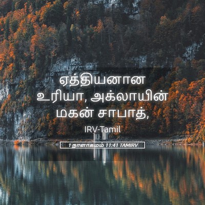 Picture 05 - 1 நாளாகமம் 11:41 TAMIRV - ஏத்தியனான உரியா, - Bible Verse Picture