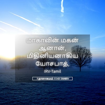 Picture 05 - 1 நாளாகமம் 11:43 TAMIRV - மாகாவின் மகன் - Bible Verse Picture