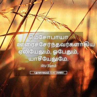 Picture 05 - 1 நாளாகமம் 11:47 TAMIRV - மெசோபாயா - Bible Verse Picture