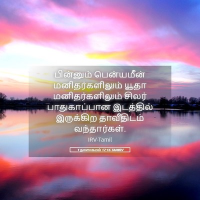 Picture 05 - 1 நாளாகமம் 12:16 TAMIRV - பின்னும் - Bible Verse Picture