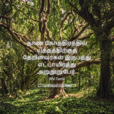 Picture 05 - 1 நாளாகமம் 12:35 TAMIRV - தாண் - Bible Verse Picture