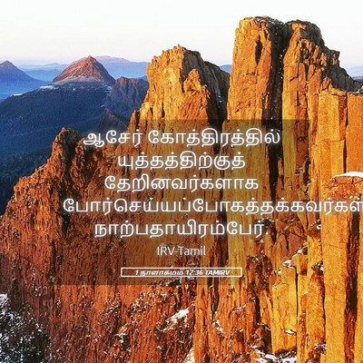 Picture 05 - 1 நாளாகமம் 12:36 TAMIRV - ஆசேர் - Bible Verse Picture