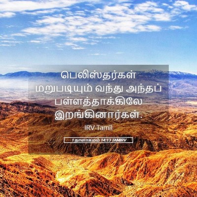 Picture 05 - 1 நாளாகமம் 14:13 TAMIRV - பெலிஸ்தர்கள் - Bible Verse Picture