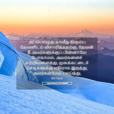 Picture 05 - 1 நாளாகமம் 14:14 TAMIRV - அப்பொழுது தாவீது - Bible Verse Picture