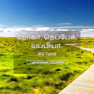 Picture 05 - 1 நாளாகமம் 14:6 TAMIRV - நோகா, நெப்பேக், - Bible Verse Picture