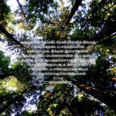 Picture 05 - 1 நாளாகமம் 15:12 TAMIRV - அவர்களை நோக்கி: - Bible Verse Picture