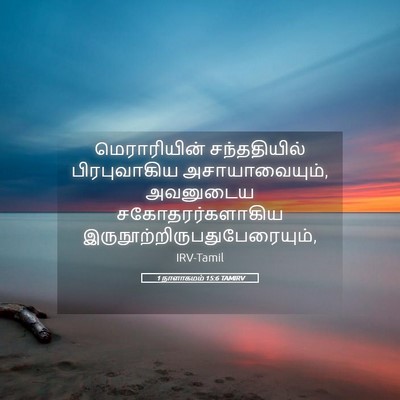 Picture 05 - 1 நாளாகமம் 15:6 TAMIRV - மெராரியின் - Bible Verse Picture