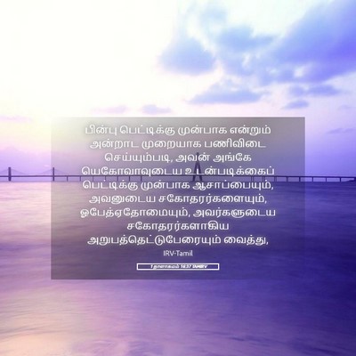 Picture 05 - 1 நாளாகமம் 16:37 TAMIRV - பின்பு பெட்டிக்கு - Bible Verse Picture