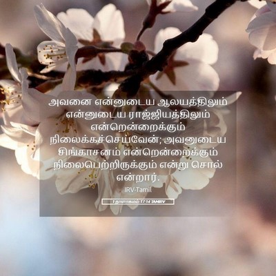 Picture 05 - 1 நாளாகமம் 17:14 TAMIRV - அவனை என்னுடைய - Bible Verse Picture