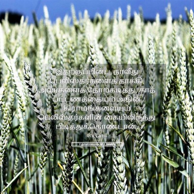 Picture 05 - 1 நாளாகமம் 18:1 TAMIRV - இதற்குப்பின்பு, - Bible Verse Picture