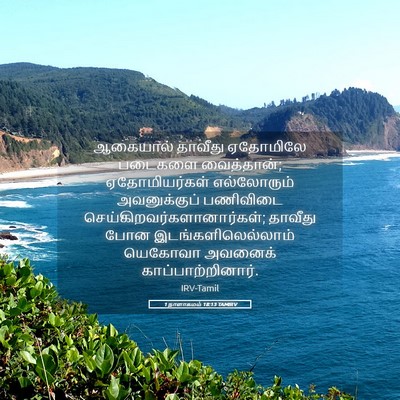 Picture 05 - 1 நாளாகமம் 18:13 TAMIRV - ஆகையால் தாவீது - Bible Verse Picture