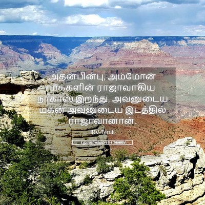 Picture 05 - 1 நாளாகமம் 19:1 TAMIRV - அதன்பின்பு, - Bible Verse Picture