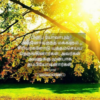 Picture 05 - 1 நாளாகமம் 19:14 TAMIRV - பின்பு யோவாபும் - Bible Verse Picture
