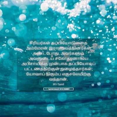 Picture 05 - 1 நாளாகமம் 19:15 TAMIRV - சீரியர்கள் - Bible Verse Picture