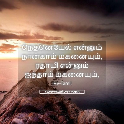 Picture 05 - 1 நாளாகமம் 2:14 TAMIRV - நெதனெயேல் என்னும் - Bible Verse Picture