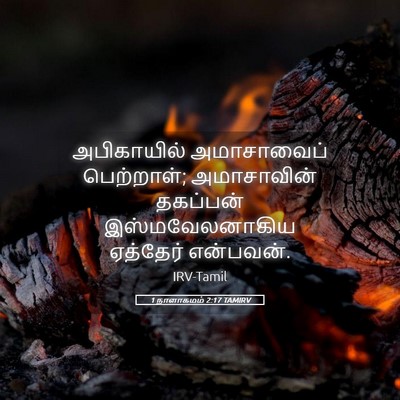 Picture 05 - 1 நாளாகமம் 2:17 TAMIRV - அபிகாயில் - Bible Verse Picture