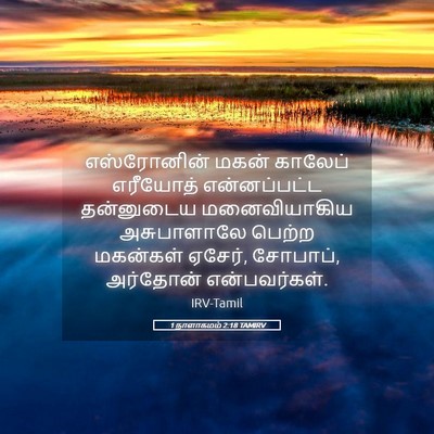 Picture 05 - 1 நாளாகமம் 2:18 TAMIRV - எஸ்ரோனின் மகன் - Bible Verse Picture