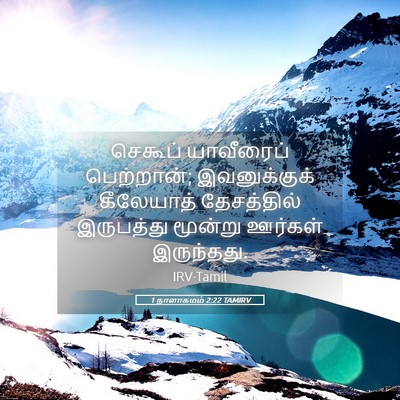 Picture 05 - 1 நாளாகமம் 2:22 TAMIRV - செகூப் யாவீரைப் - Bible Verse Picture
