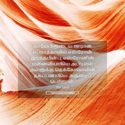 Picture 05 - 1 நாளாகமம் 2:24 TAMIRV - காலேபினுடைய ஊரான - Bible Verse Picture