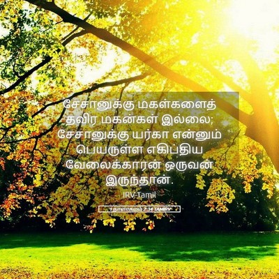 Picture 05 - 1 நாளாகமம் 2:34 TAMIRV - சேசானுக்கு - Bible Verse Picture