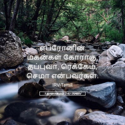 Picture 05 - 1 நாளாகமம் 2:43 TAMIRV - எப்ரோனின் மகன்கள் - Bible Verse Picture