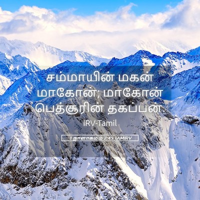 Picture 05 - 1 நாளாகமம் 2:45 TAMIRV - சம்மாயின் மகன் - Bible Verse Picture