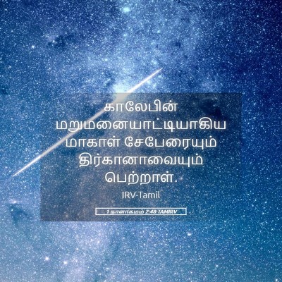 Picture 05 - 1 நாளாகமம் 2:48 TAMIRV - காலேபின் - Bible Verse Picture