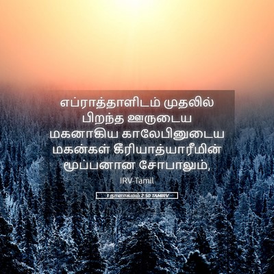Picture 05 - 1 நாளாகமம் 2:50 TAMIRV - எப்ராத்தாளிடம் - Bible Verse Picture
