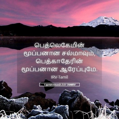 Picture 05 - 1 நாளாகமம் 2:51 TAMIRV - பெத்லெகேமின் - Bible Verse Picture