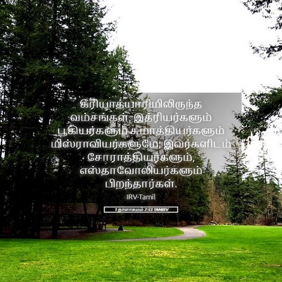 Picture 05 - 1 நாளாகமம் 2:53 TAMIRV -  - Bible Verse Picture