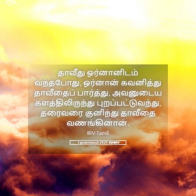 Picture 05 - 1 நாளாகமம் 21:21 TAMIRV - தாவீது ஒர்னானிடம் - Bible Verse Picture