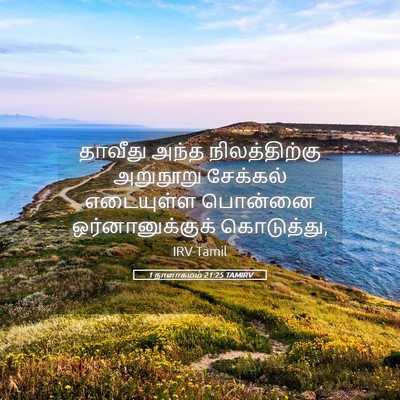 Picture 05 - 1 நாளாகமம் 21:25 TAMIRV - தாவீது அந்த - Bible Verse Picture