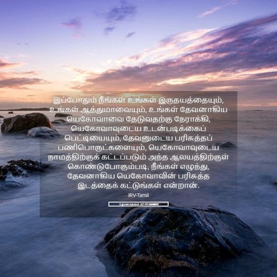 Picture 05 - 1 நாளாகமம் 22:19 TAMIRV - இப்போதும் நீங்கள் - Bible Verse Picture