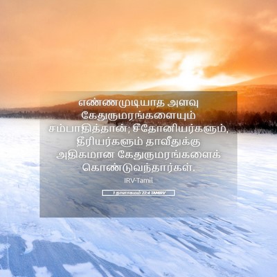 Picture 05 - 1 நாளாகமம் 22:4 TAMIRV - எண்ணமுடியாத அளவு - Bible Verse Picture