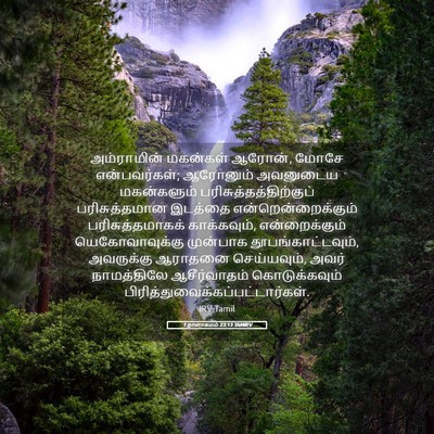 Picture 05 - 1 நாளாகமம் 23:13 TAMIRV - அம்ராமின் மகன்கள் - Bible Verse Picture
