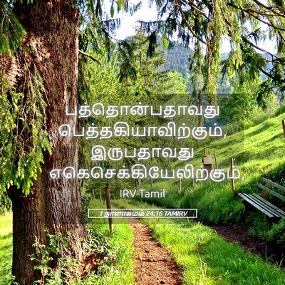 Picture 05 - 1 நாளாகமம் 24:16 TAMIRV - பத்தொன்பதாவது - Bible Verse Picture