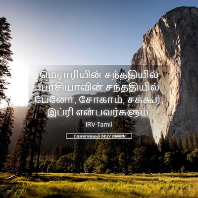 Picture 05 - 1 நாளாகமம் 24:27 TAMIRV - மெராரியின் - Bible Verse Picture