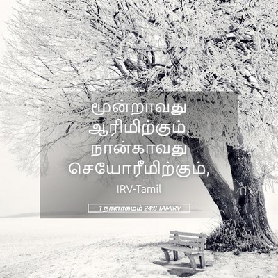 Picture 05 - 1 நாளாகமம் 24:8 TAMIRV - மூன்றாவது - Bible Verse Picture