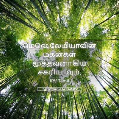 Picture 05 - 1 நாளாகமம் 26:2 TAMIRV - மெஷெலேமியாவின் - Bible Verse Picture
