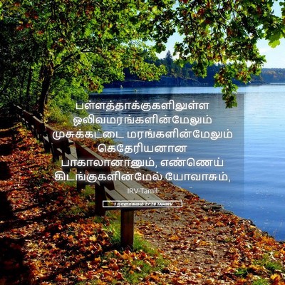 Picture 05 - 1 நாளாகமம் 27:28 TAMIRV -  - Bible Verse Picture