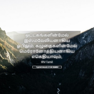 Picture 05 - 1 நாளாகமம் 27:30 TAMIRV - ஒட்டகங்களின்மேல் - Bible Verse Picture