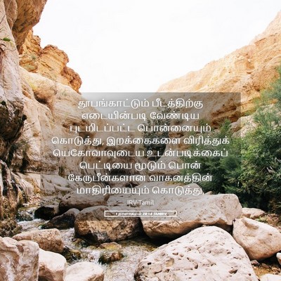 Picture 05 - 1 நாளாகமம் 28:18 TAMIRV - தூபங்காட்டும் - Bible Verse Picture